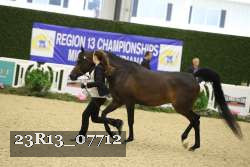 23R13_07712 thumbnail