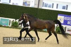 23R13_07713 thumbnail