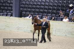 23R13_07714 thumbnail