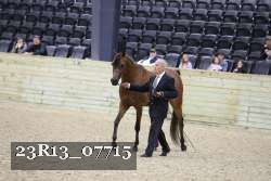 23R13_07715 thumbnail