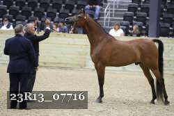 23R13_07716 thumbnail