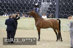 23R13_07717 thumbnail