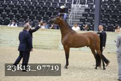 23R13_07719 thumbnail