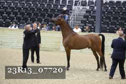 23R13_07720 thumbnail