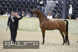 23R13_07721 thumbnail