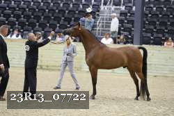 23R13_07722 thumbnail