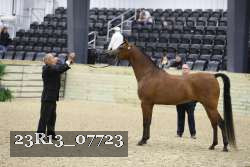 23R13_07723 thumbnail