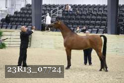 23R13_07724 thumbnail