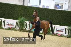 23R13_07725 thumbnail