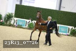 23R13_07726 thumbnail