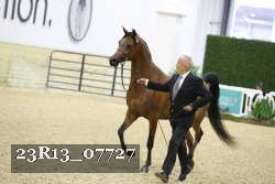 23R13_07727 thumbnail