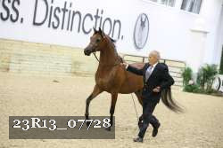 23R13_07728 thumbnail