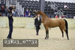 23R13_07732 thumbnail