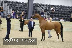 23R13_07734 thumbnail