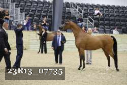 23R13_07735 thumbnail