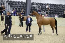 23R13_07736 thumbnail