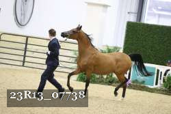 23R13_07738 thumbnail