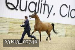 23R13_07740 thumbnail