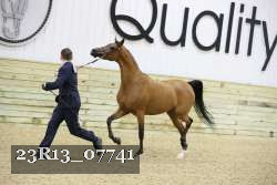 23R13_07741 thumbnail