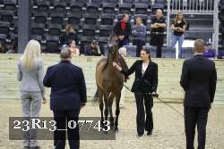 23R13_07743 thumbnail