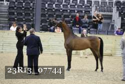 23R13_07744 thumbnail