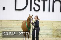 23R13_07771 thumbnail