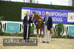 23R13_07773 thumbnail