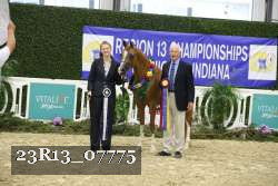23R13_07775 thumbnail