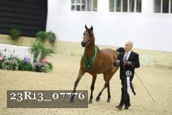 23R13_07776 thumbnail