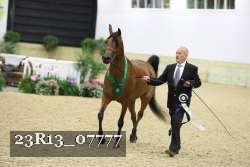 23R13_07777 thumbnail