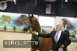 23R13_07779 thumbnail