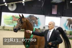 23R13_07780 thumbnail
