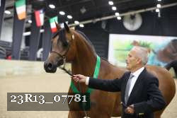 23R13_07781 thumbnail