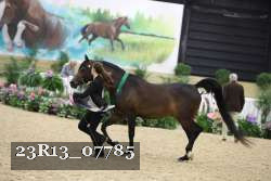23R13_07785 thumbnail