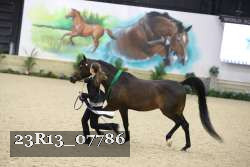 23R13_07786 thumbnail