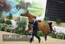 23R13_07788 thumbnail