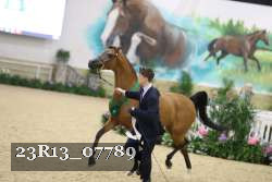 23R13_07789 thumbnail
