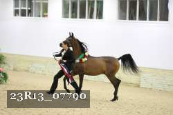 23R13_07790 thumbnail