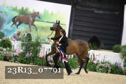 23R13_07791 thumbnail