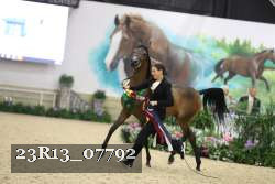 23R13_07792 thumbnail