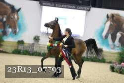 23R13_07793 thumbnail