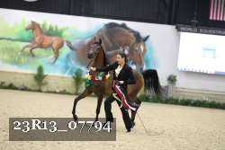 23R13_07794 thumbnail