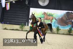 23R13_07795 thumbnail