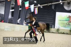 23R13_07796 thumbnail
