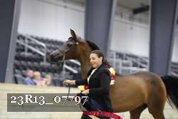 23R13_07797 thumbnail