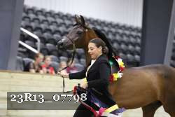 23R13_07798 thumbnail