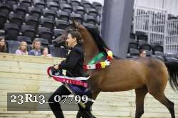 23R13_07799 thumbnail