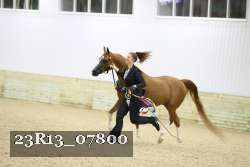 23R13_07800 thumbnail