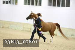 23R13_07801 thumbnail