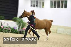 23R13_07802 thumbnail